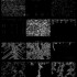Cellular Automata code in c