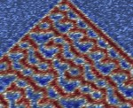 Complex cellular automata