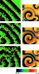 Cellular automata therapy