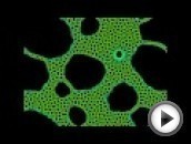 View this video on youtube.com sourceforge: sourceforge.net ionreq generalization conway