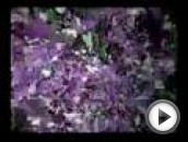 View this video on youtube.com I got trashy pictures ;_; Maybe ill post the full-quality video available for downloading and local computer playback somewhere later in time